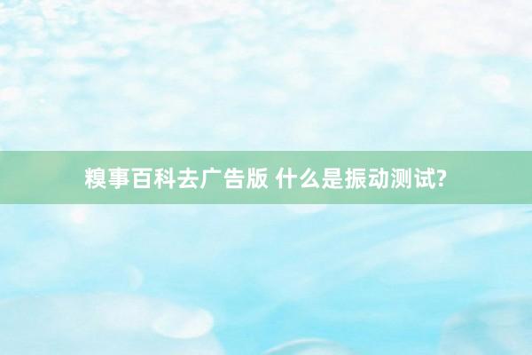 糗事百科去广告版 什么是振动测试?