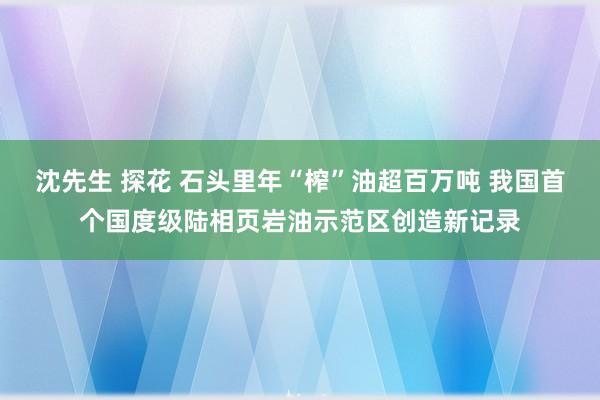 沈先生 探花 石头里年“榨”油超百万吨 我国首个国度级陆相页岩油示范区创造新记录