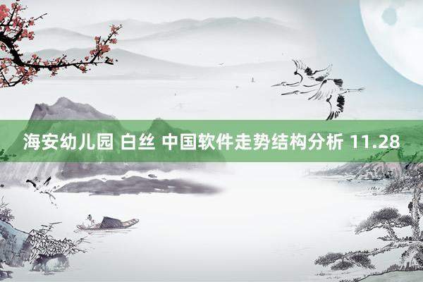 海安幼儿园 白丝 中国软件走势结构分析 11.28