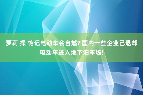 萝莉 操 惦记电动车会自燃? 国内一些企业已退却电动车进入地下泊车场!