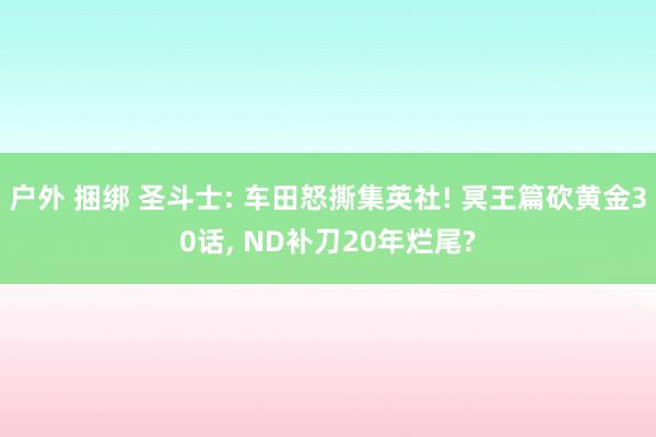 户外 捆绑 圣斗士: 车田怒撕集英社! 冥王篇砍黄金30话,